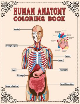 Human Anatomy Coloring Book