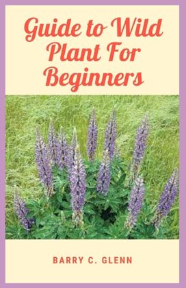 Guide to Wild Plant for Beginners Guide to Wild Plant for Beginners